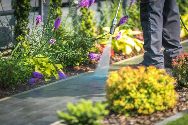 Best Gutter Cleaning  in Avenel, NJ