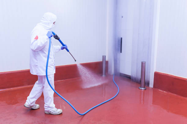 Best Driveway Pressure Washing  in Avenel, NJ
