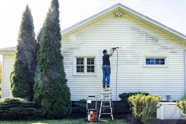 Best Patio and Deck Pressure Washing  in Avenel, NJ